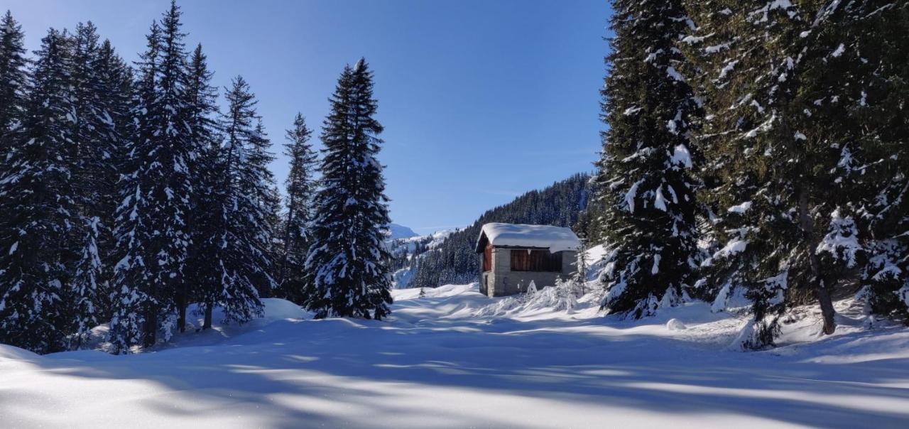 Z Studio - Next Door To Vals Therme Zewnętrze zdjęcie